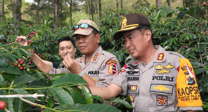 Tim Satgas Binmas Noken Polri saat meninjau kebun kopi binaan Binmas Noken Polri di Kampung Golo, Kabupaten Lany Jaya, Papua