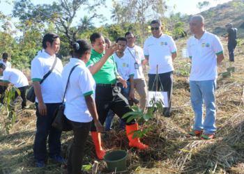 Wakil Walikota, Ir. Rustan Saru usai menanam pohon