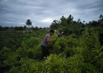 Jelang HUT – RI Binmas Polsek Skanto dan Warga  Bersihkan Lapangan Upacara