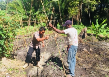 Wujudkan Nawa Cita, Bhabinkamtibmas Polres Mappi Berkebun bersama Warga