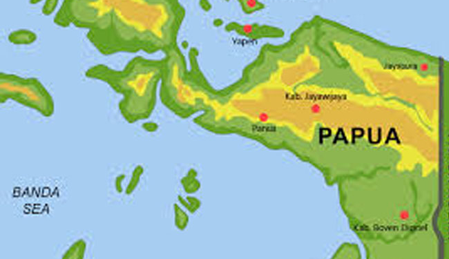 Ilustrasi pulau Papua