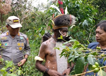 Petani Kopi di Wamena Apresisasi Program Binmas Noken Polri
