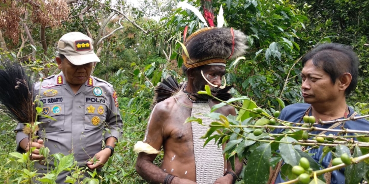 Petani Kopi di Wamena Apresisasi Program Binmas Noken Polri