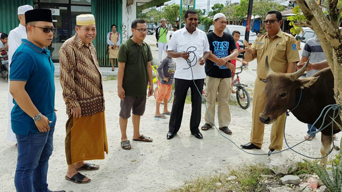 Proses penyerahan hewan qurban oleh PHBI