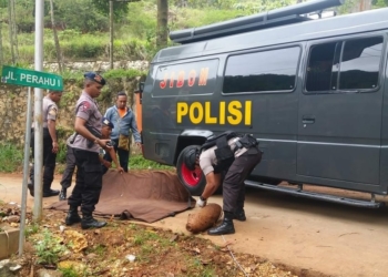 Polisi Temukan Bom Aktif di Padang Bulan