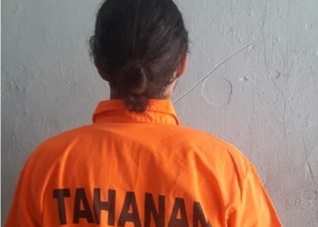 Diduga Jual Amunisi ke KKB, Warga Polandia Terancam Pasal Makar