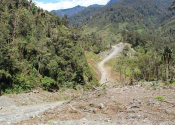 Salah satu jalan trans papua / google