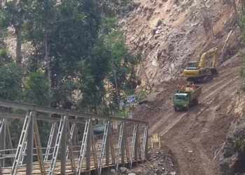 Salah satu jalan trans Papua Jayapura-wamena, Ilustrasi /Google