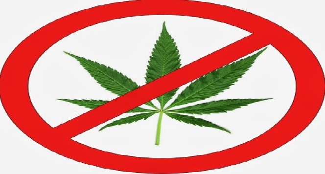 Tokoh Adat Minta Perangi Ganja Di Perbatasan