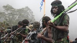 Ini Data Kekerasan KKB di Papua Periode 2010 – 2018