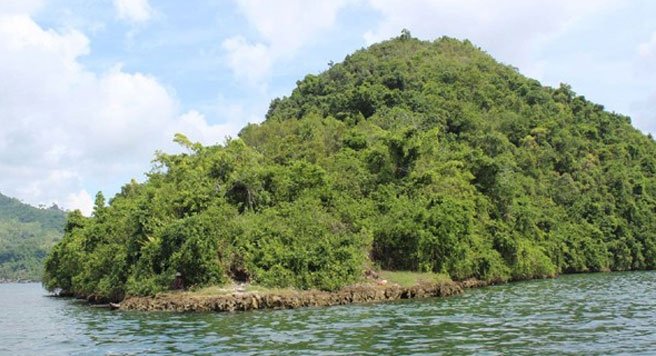 Gunung Srobu di kawasan Teluk Yotefa,  Abe Pantai, Kota Jayapura / google