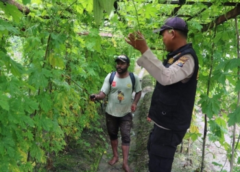 Anggota Binmas Noken dan masyarakat pemilik kebun