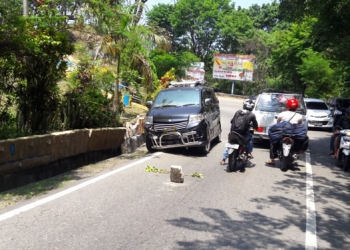 Mobil Apv tabrak Taman Bunga di skyland