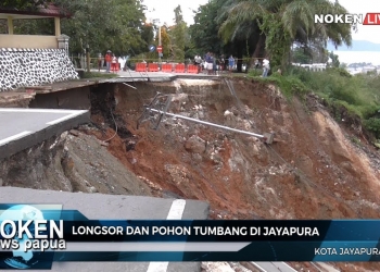 Longsor Dan Pohon Tumbang di Kota Jayapura