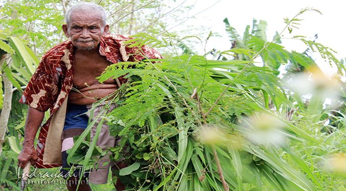 Karimin, Pria Satu Abad/ IND