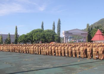 ASN lingkup Pemerintah Provinsi Papua/ BM