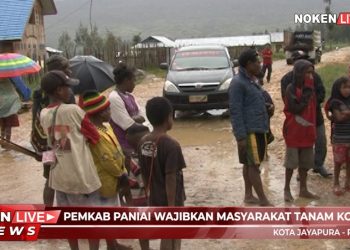 Pemkab Paniai Wajibkan Masyarakat Tanam Kopi