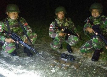Satgas Pamtas RI - PNG Amankan 7 Paket Ganja Kering