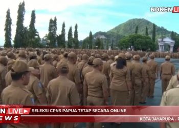 Seleksi CPNS Papua Tetap Secara Online