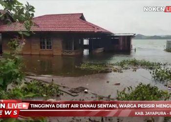 Tingginya Debit Air Danau Sentani, Warga Pesisir Mengungsi