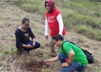 Kepala DLHK Kota Jayapura saat melihat proses Fogging