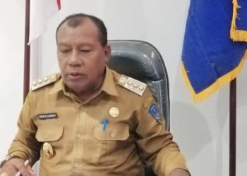 Bupati Mamberamo Raya, Dorinus Dasinapa
