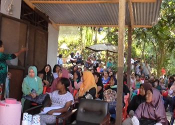 Tim Honorer Kota Jayapura Kawal Berkas fisik ke Jakarta