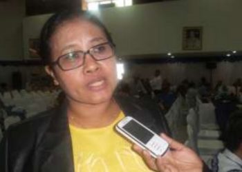 Persiapan PON 2020 Gubernur Papua Minta 20.000 Sapi Dari PNG