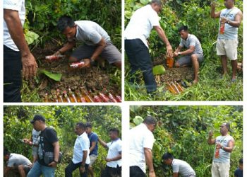 Kapolres Mamberamo Raya Grebek Puluhan Miras Yang Dikubur Dalam Tanah