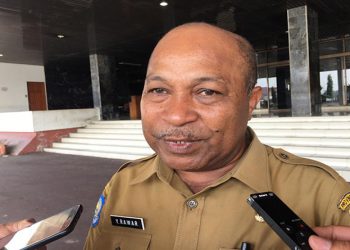 Sektor Swasta Perlu Menerap Tenaga Kerja Mengurangi Angka Pengangguran di Papua
