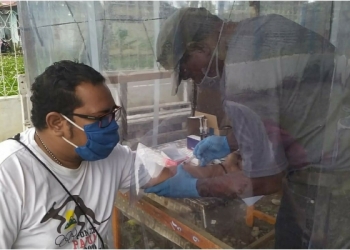 Hasil Rapid Test Wartawan Wamena Negatif