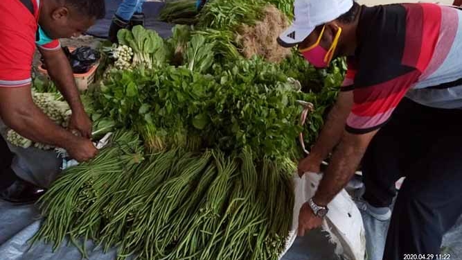 Dinas TPH Salurkan Sayur di Wilayah Karantina Sentani