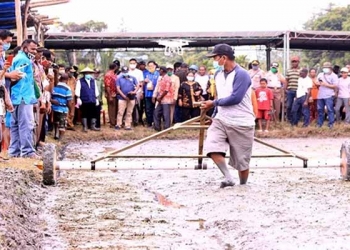 Distrik Namblong Siap 177 Hektar Lahan Sawah