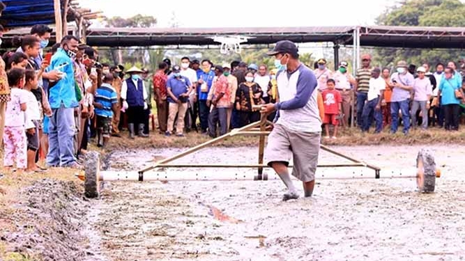 Distrik Namblong Siap 177 Hektar Lahan Sawah