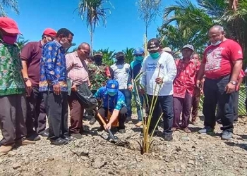Bupati Ajak Masyarakat Tanam Sagu Kembali