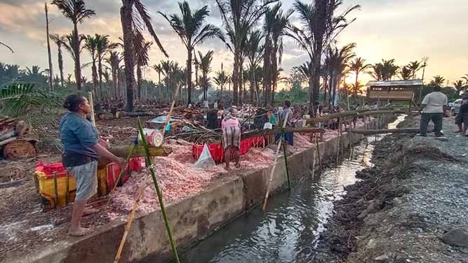 Warga Kabupaten Jayapura Mulai Berkebun