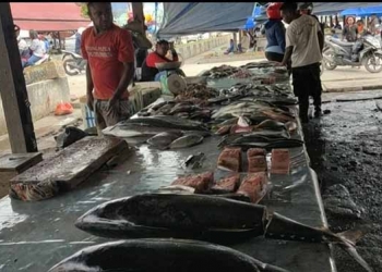 Pedagang Ikan Asli Papua Dapat Bantuan Dana