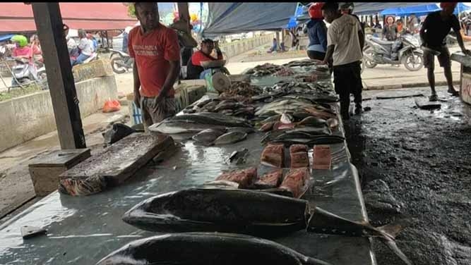Pedagang Ikan Asli Papua Dapat Bantuan Dana