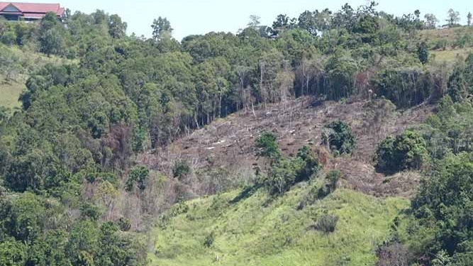 BTM Seriusi Masalah Perambahan Hutan di Kota Jayapura