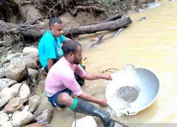Emas Tambang Korowai di Jual ke Sejumlah Daerah