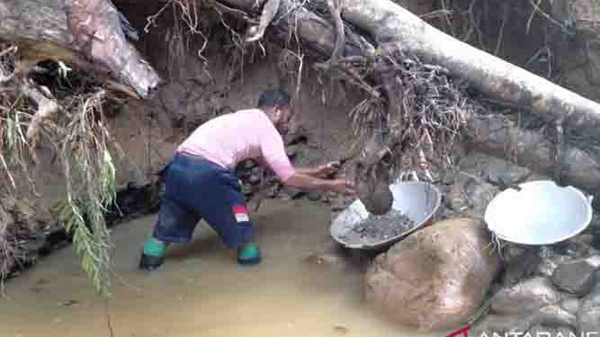 Penambang Korowai Barter Emas dengan Barang