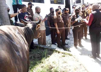 Walikota Jayapura Salurkan Hewan Qurban