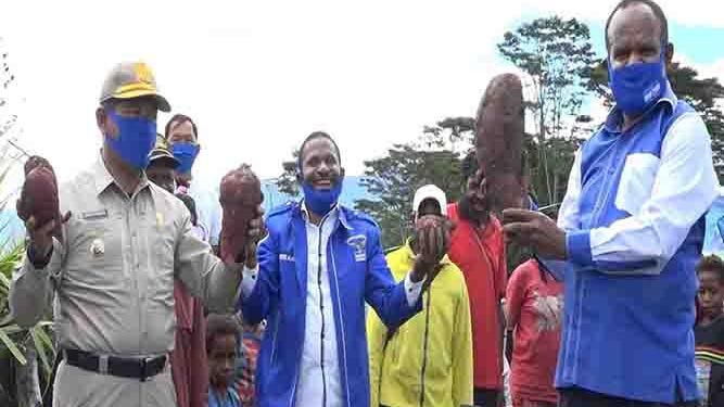 Pemda Jayawijaya Beli Hasil Kebun Milik Petani