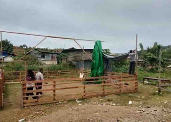 Polisi Jayapura Membongkar Arena Judi Sabung Ayam