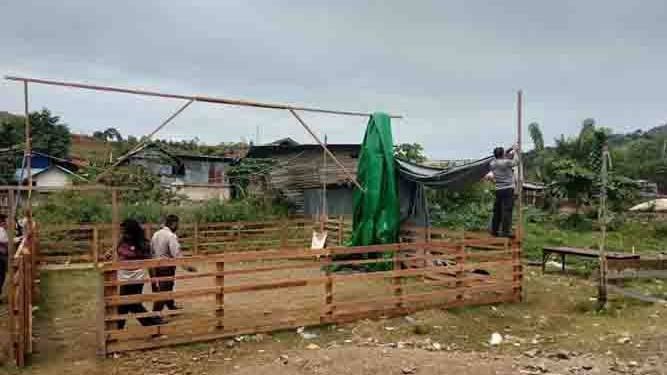 Polisi Jayapura Membongkar Arena Judi Sabung Ayam