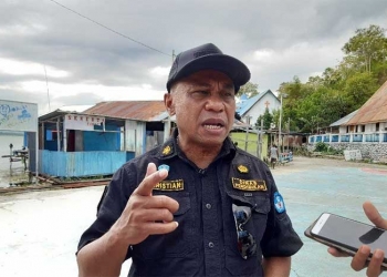 DP2AD Papua Membuat Perpustakaan Elektronik