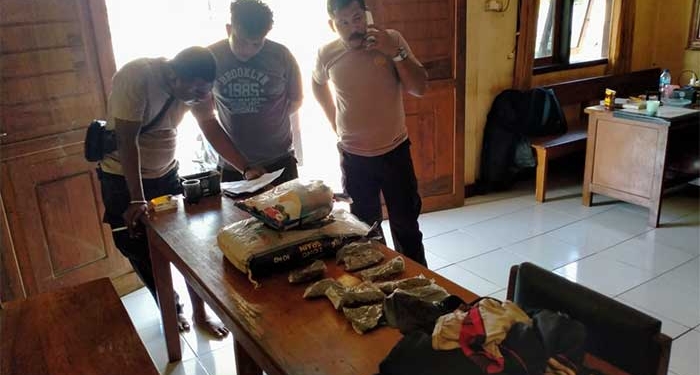 Polres Keerom Amankan 2 Karung Ganja dan Pemiliknya