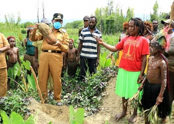 Bupati Jayawijaya Ajak Masyarakat Terus Berkebun
