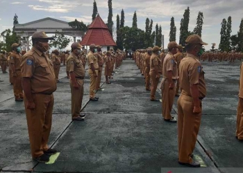 Pemprov Papua Segera Berlakukan Bekerja Dari Rumah