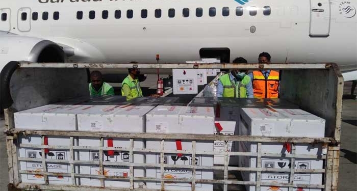 Dinkes Papua Tunggu Data Jumlah Vaksin Covid-19 Untuk Beberapa Kabupaten